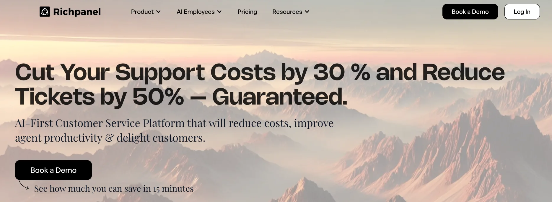 Screenshot of Richpanel's homepage