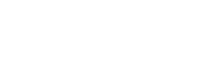 Ferry Pay